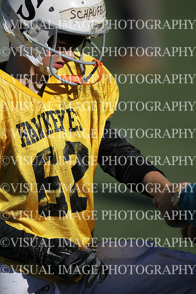 WSJFB_13_1033