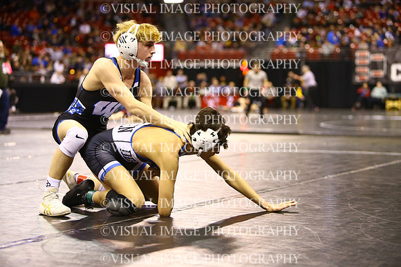 WIIWR25_113_C2012