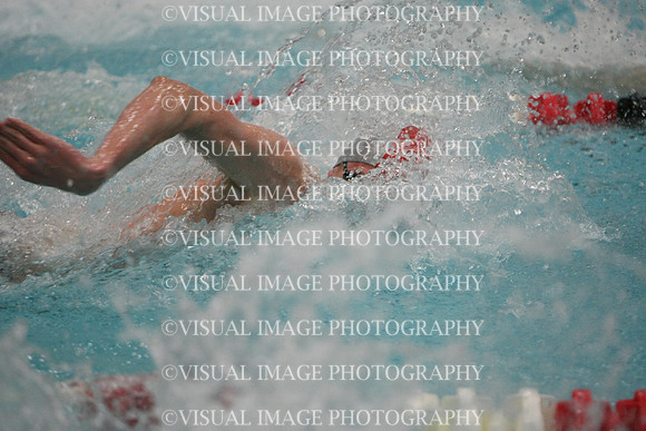 wisw10_1free_2033