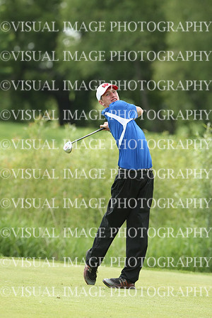 wigf_10_t105028