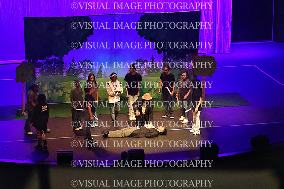 ILDRAMA_25_D090016