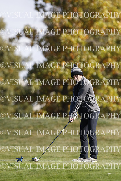 ILGF_22_IND30002