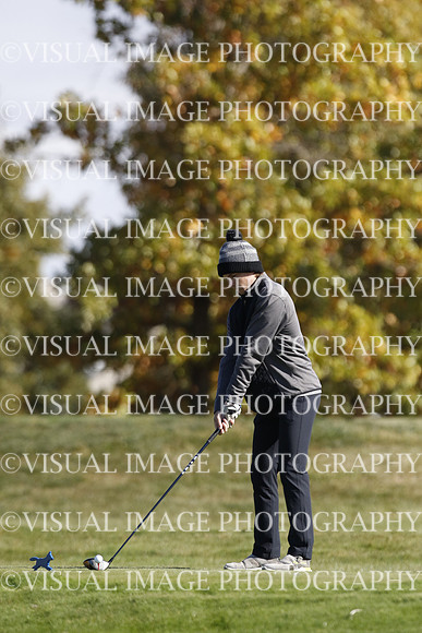 ILGF_22_IND30003