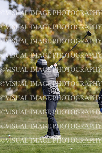 ILGF_22_IND30005
