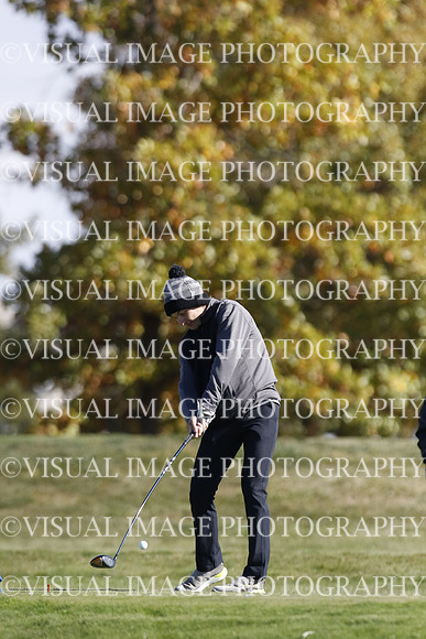 ILGF_22_IND30010