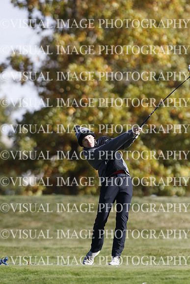 ILGF_22_IND30011
