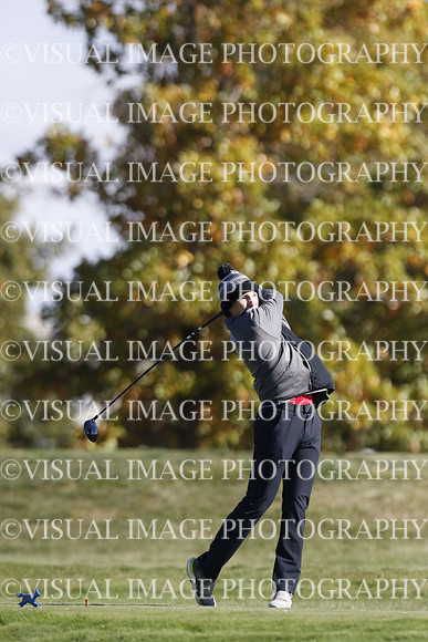 ILGF_22_IND30013