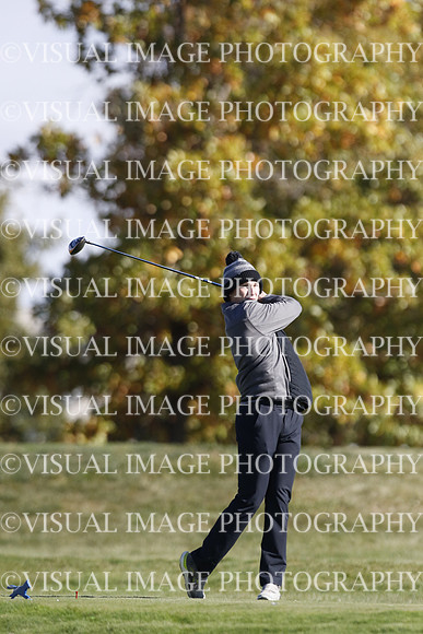 ILGF_22_IND30016