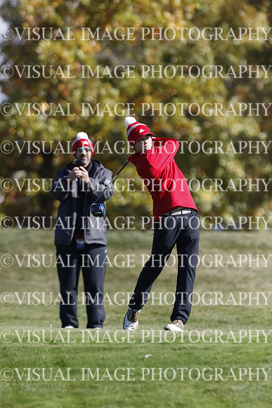 ILGF_22_IND30031