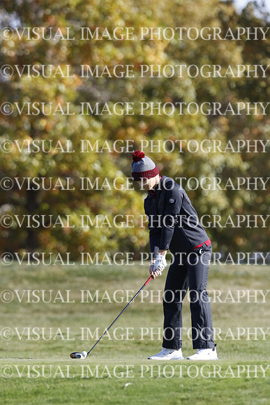ILGF_22_T301031