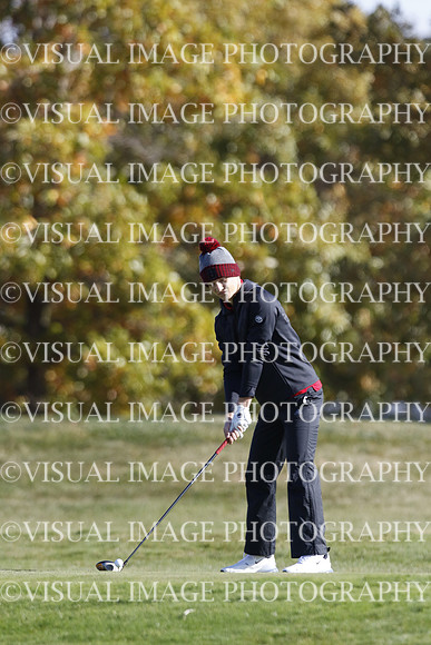 ILGF_22_T301032