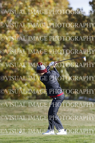ILGF_22_T301036