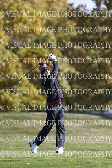 ILGF_22_T301042