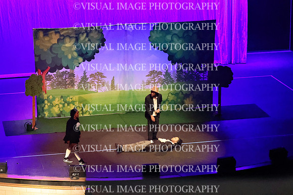 ILDRAMA_25_D090013
