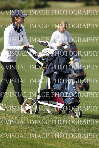 ILGFG_22_T112008