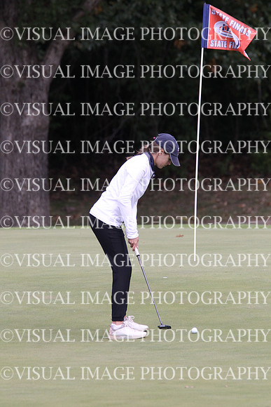 ILGFG_22_T112013