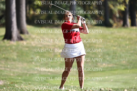 WIGFG_22_T12015