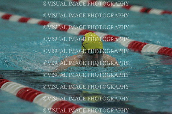wiswg09_1breast_2034