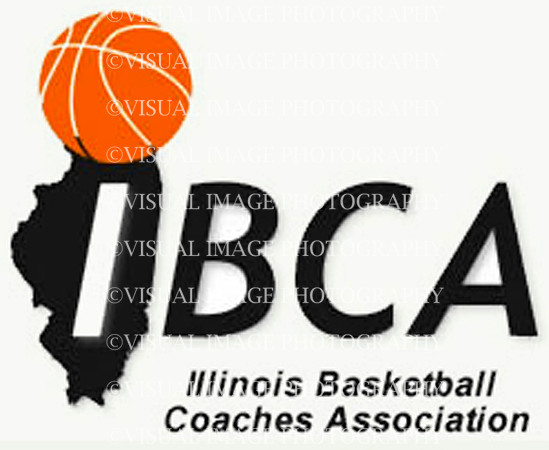 IBCA_LOGO