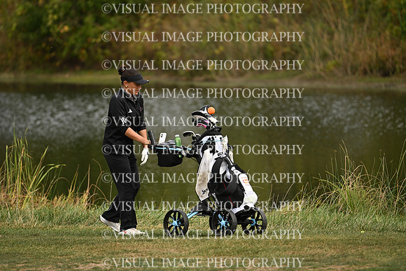 ILGFG_25_IND10017