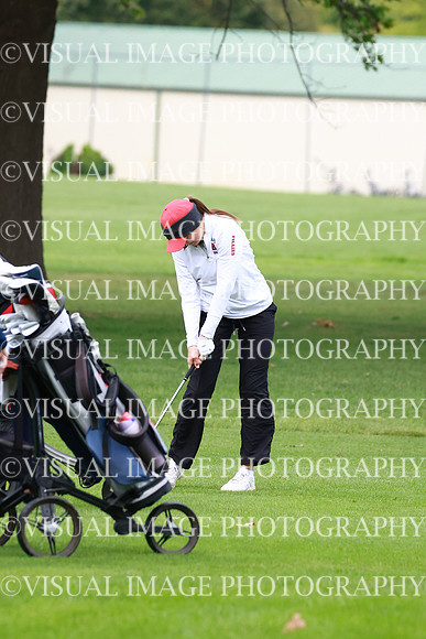 ILGFG_25_IND20010
