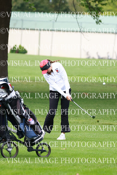 ILGFG_25_IND20011