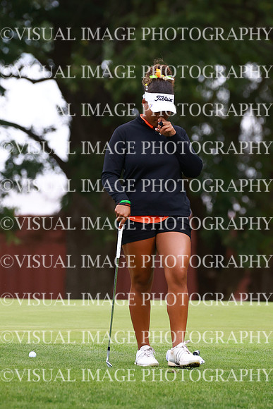 ILGFG_25_IND20017