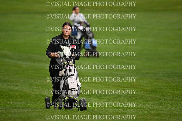 ILGFG_25_T106027