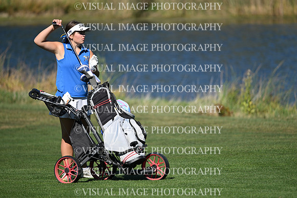 ILGFG_25_T112015