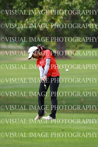 ILGFG_25_T204038