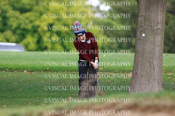 ILGFG_25_T206032