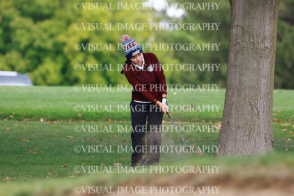 ILGFG_25_T206033