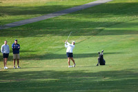 ILGF_25_IND20010