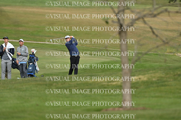 ILGF_25_T1070006