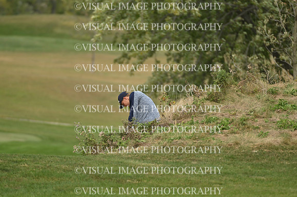 ILGF_25_T1110005