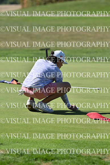 ILGF_25_T1120004