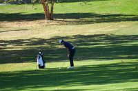 ILGF_25_T201002