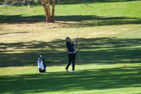 ILGF_25_T201010