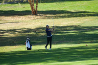 ILGF_25_T201012