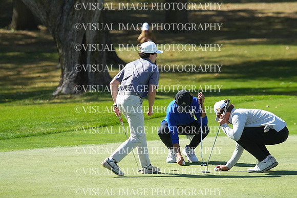ILGF_25_T201060