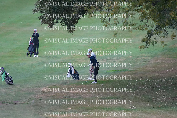 ILGF_25_T202001