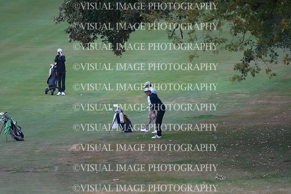 ILGF_25_T202002