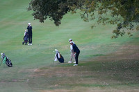 ILGF_25_T202003
