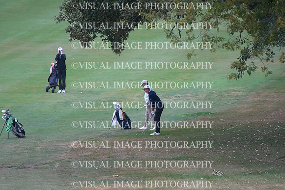 ILGF_25_T202003
