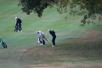 ILGF_25_T202004