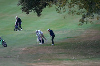 ILGF_25_T202005