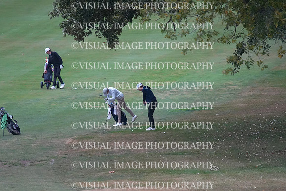 ILGF_25_T202005