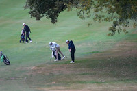 ILGF_25_T202006