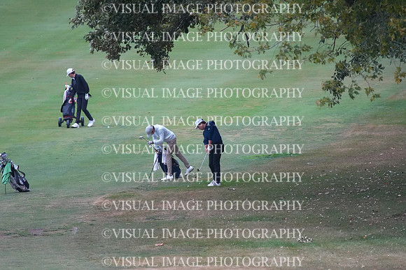 ILGF_25_T202006