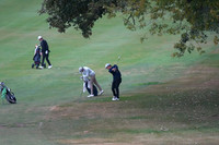 ILGF_25_T202007
